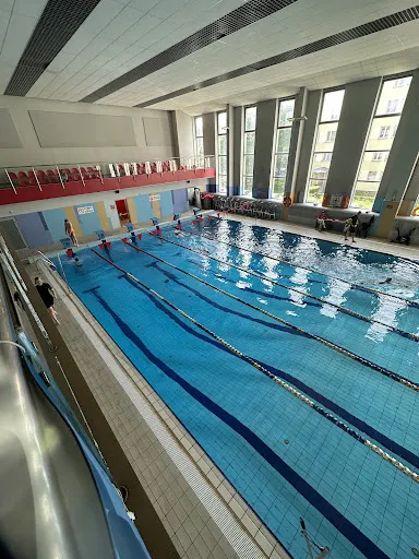 Szkoła Pływania H2O Oliwia Wolf - Świętochłowice